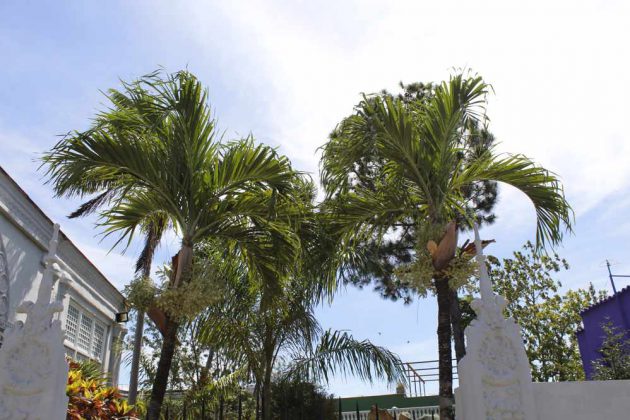 Museo de Historia Natural “Tranquilino Sandalio de Noda”