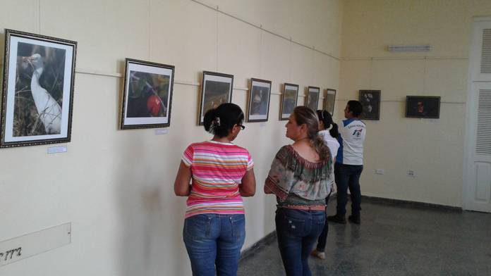 Exposición Museo de Historia Natural