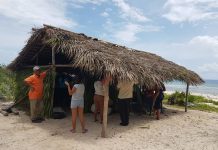 Niños participan en Monitoreo de tortugas marinas en Guanahacabibes Monitoreo de tortugas marinas en Guanahacabibes