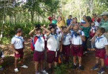 Celebran octavo Festival de Aves Migratorias en Guanahacabibes La Península de Guanahacabibes acogió por octava ocasión el Festival de Aves Migratorias