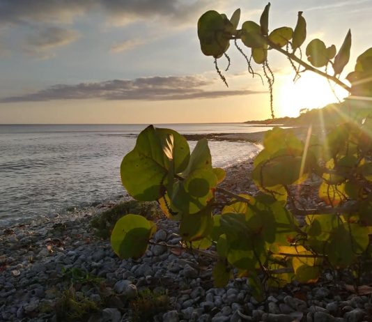 Guanahacabibes,donde se guarda el sol de Cuba Península de Guanahacabibes