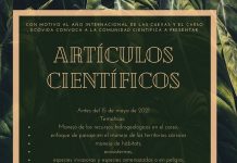 Publicación de Artículos cientificos
